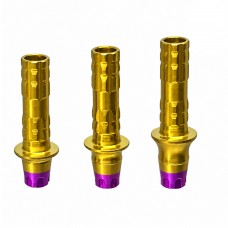 Temporary Anti-Rotation Abutment MIS SP C1-V3