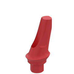 Anatomic Angled Abutment — 15°