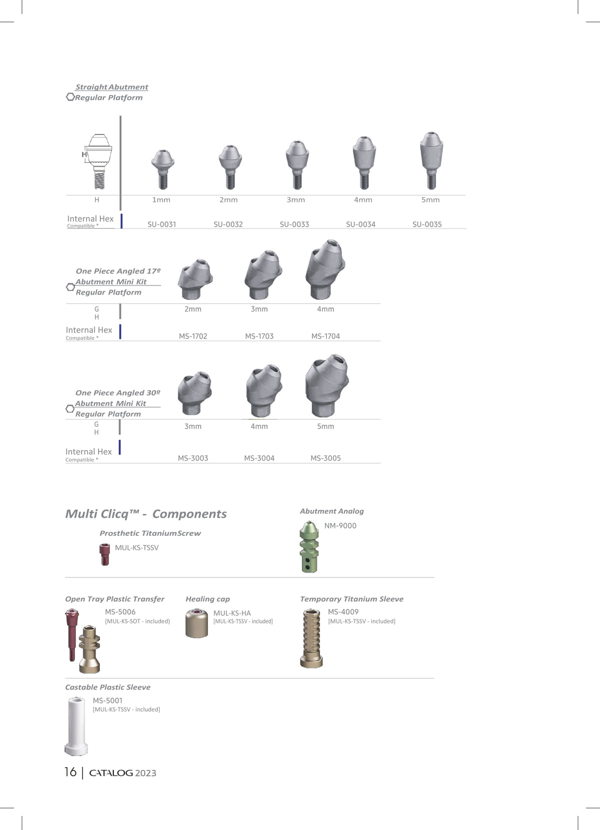 One-Piece Angled Abutment Mini Kit — 17°