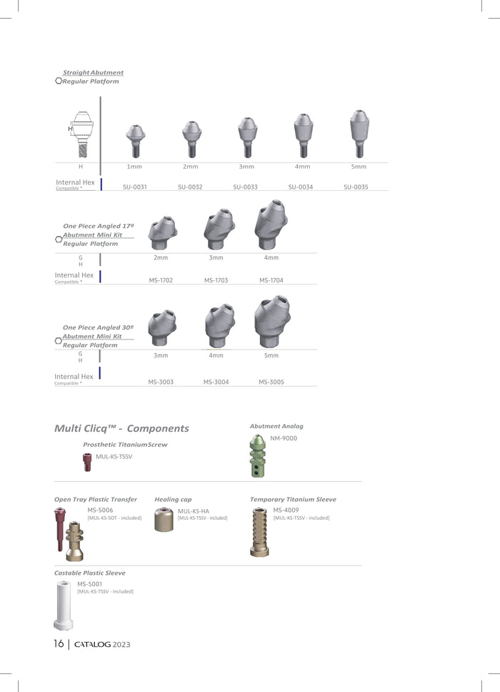 One-Piece Angled Abutment Mini Kit — 17°