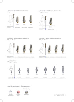 Zircocam Angled Anatomic Abutment — 25°