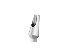 Angled Abutment — 25°